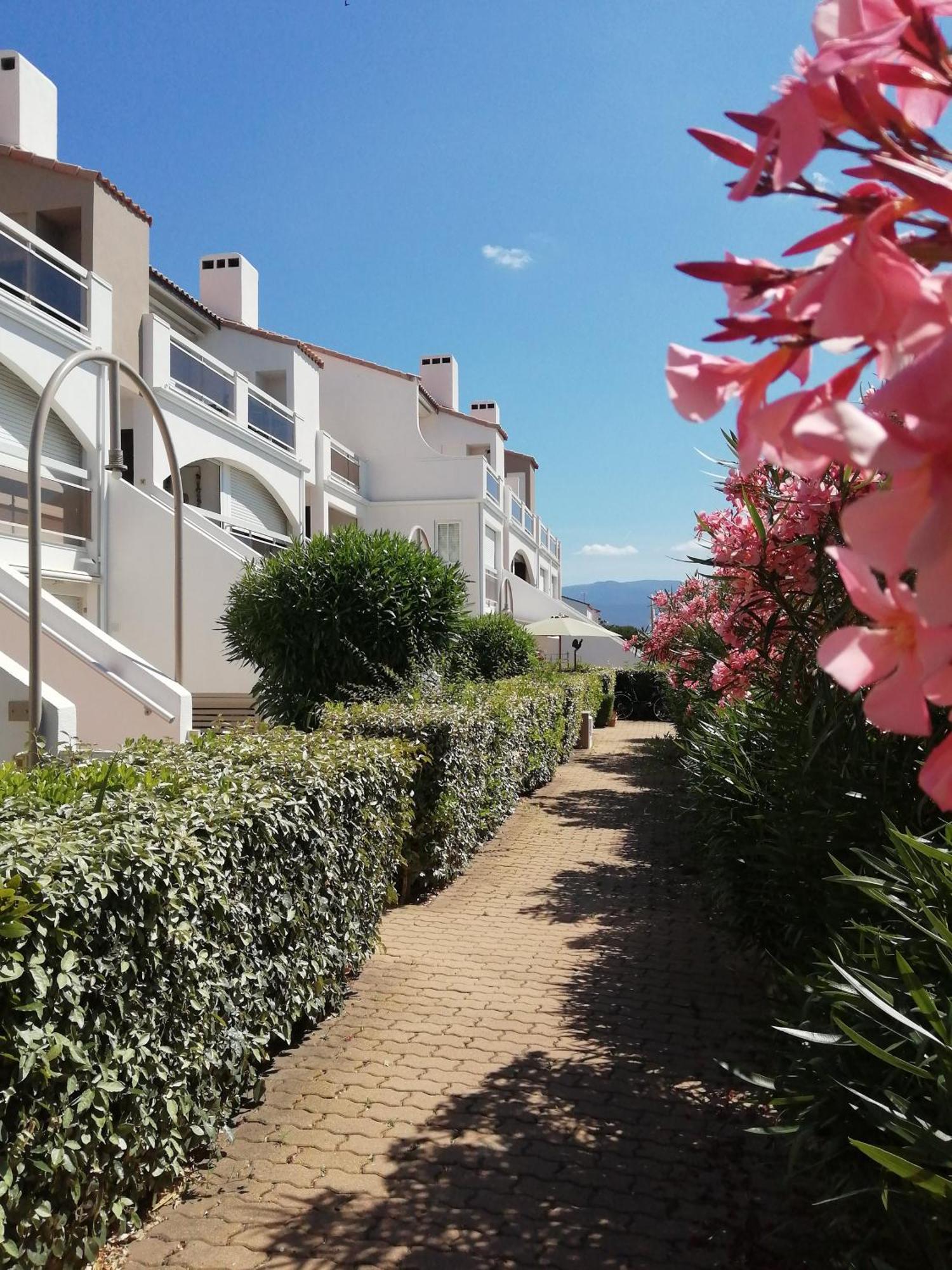 Vue Lagune Et Bateaux A 100M De La Plage Saint-Cyprien  Exterior photo